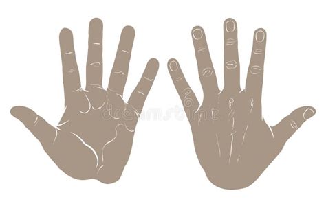 The Back of the Hand, Outline Version Stock Vector - Illustration of ...