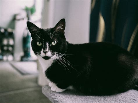 100+Cute+Bent+Over+Asses Photos, Download The BEST Free 100+Cute+Bent