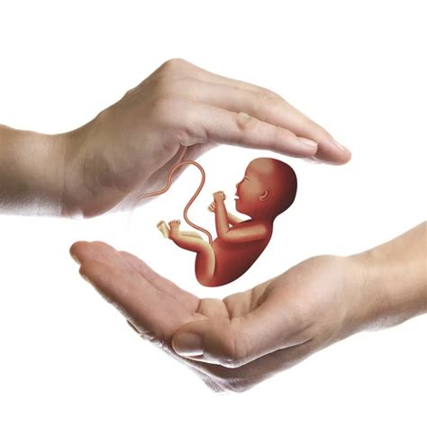 Fetal rights Stock Photos, Royalty Free Fetal rights Images | Depositphotos