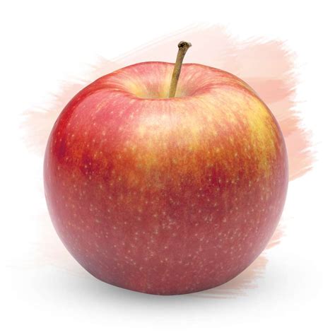 jonagold superfresh growers