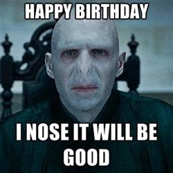 Harry Potter Funny Happy Birthday Meme - 2HappyBirthday