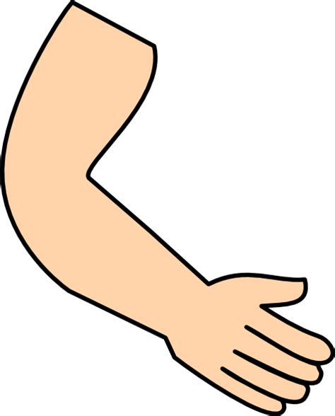 arm cliparts   arm clip art images