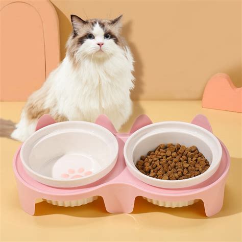 Elevated Ceramic Cat Bowl – cuddlesmeow