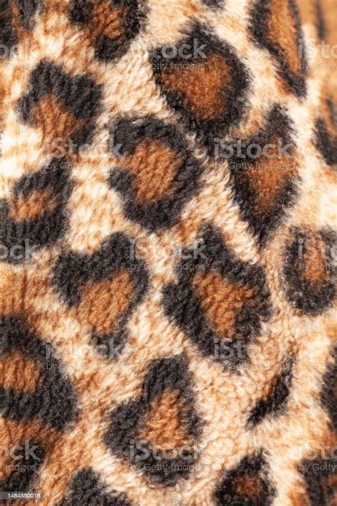 leopard skin texture  background stock photo  image