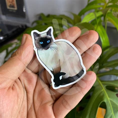 hp cat stickers aesthetic stickers tumblr stickers aesthetic