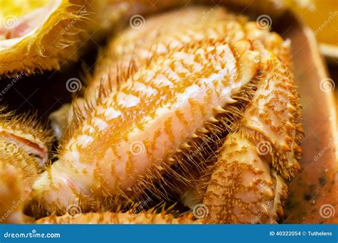 Japanese Hairy Crab Stock Photo - Image: 40322054