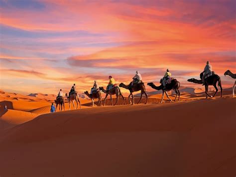 Lost Lords of the Sahara