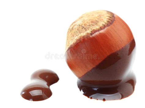 Hazelnut chocolate stock image. Image of snack, temptation - 11592531