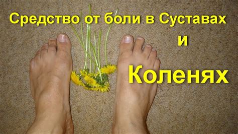 Болят колени что делать. Артроз и артрит лечение. Сильные ноющие боли в ...