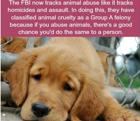 21 crazy animal facts that prove you learn something new everyday – Artofit