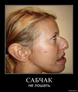 Создать комикс мем "junior senior грабли, грабли, Пол" - Комиксы - Meme ...