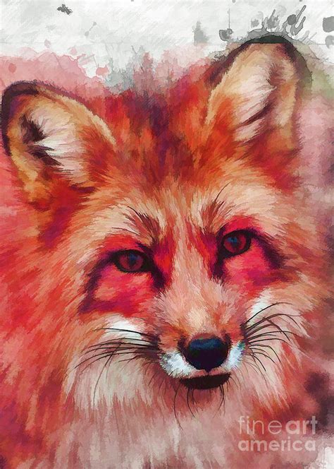 Red fox art Digital Art by Justyna Jaszke JBJart - Fine Art America