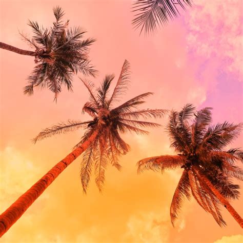 rise fall  sublime voicereels