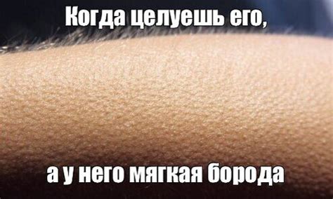 День гусиной кожи. 27 марта. Праздники и даты. | В курсе? | Дзен