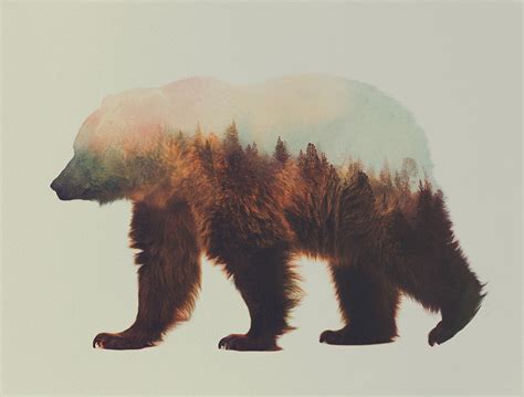 Double Exposure Animal Portraits by Andreas Lie | DESIGN OVERDOSE