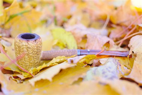 Autumn pipe