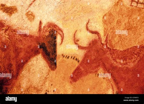 cave paintings  france date  elaine sanchez blog