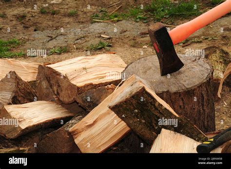 splitting logs  readiness  winter stock photo alamy