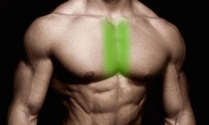 middle  chest exercises