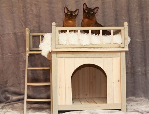 مميز بلطجي بسرعة كيف تصنع منزل للقطط - bio-wood-tunisia.com