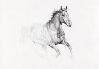 War Horse Drawing at PaintingValley.com | Explore collection of War ...