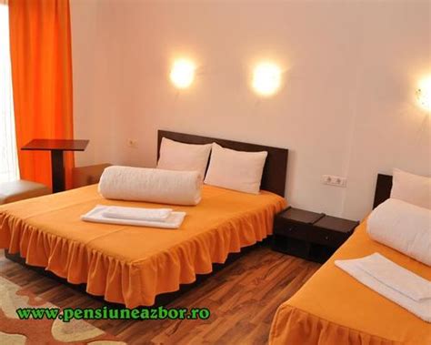 Pensiunea Zbor Cluj-Napoca 3 stern | str. Tractoristilor nr.2 400401