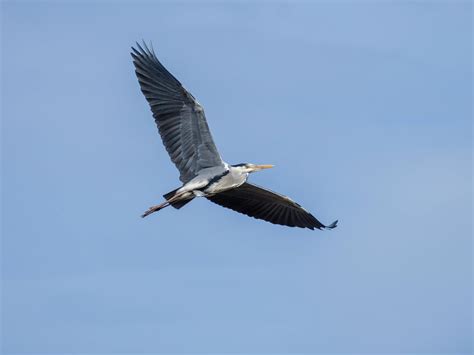 Teen+Ass+Spreading Photos, Download The BEST Free Teen+Ass+Spreading