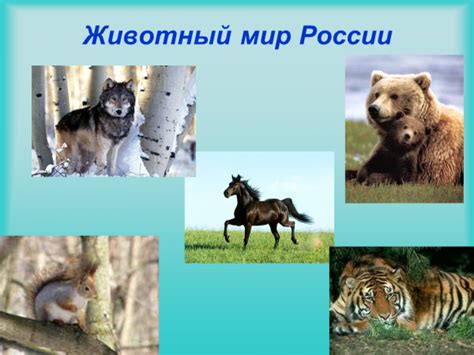 Презентация Россия – скачать бесплатно pptx