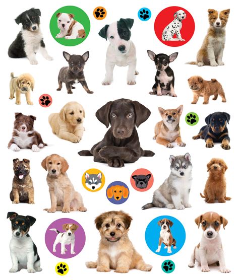 Eyelike Stickers: Puppies - W-100294 | Island Treasure Toys