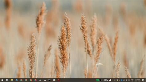 4 Quick Fixes For A Disorganized Desktop