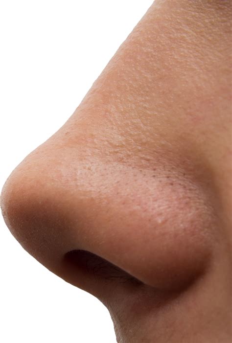 Human nose PNG