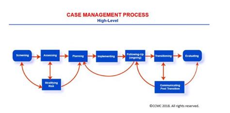 introductory guide  case management