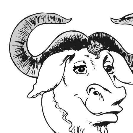 gnu head  etienne suvasa gnu project  software foundation