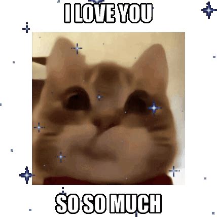 Meme Pictures Funny GIFs | Tenor