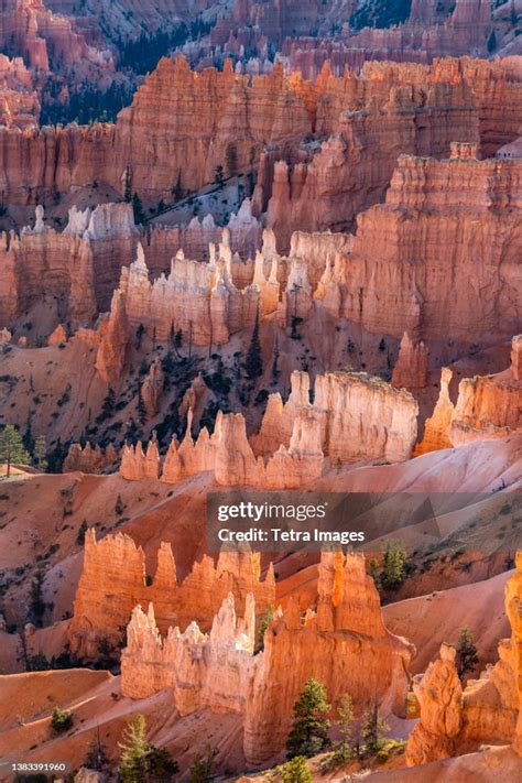 Usa Utah Bryce Canyon National Park Hoodoo Rock Formations In Canyon ...
