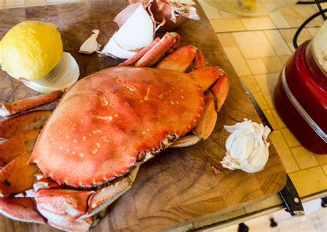 50 Easy Crab Recipes Filled With Flavor | Stacker