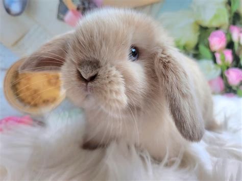 Na nadgarstku... - Horse Craft - Biżuteria handmade z żywicy | Facebook