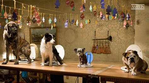 Hotel for Dogs (2009) - About the Movie | Amblin