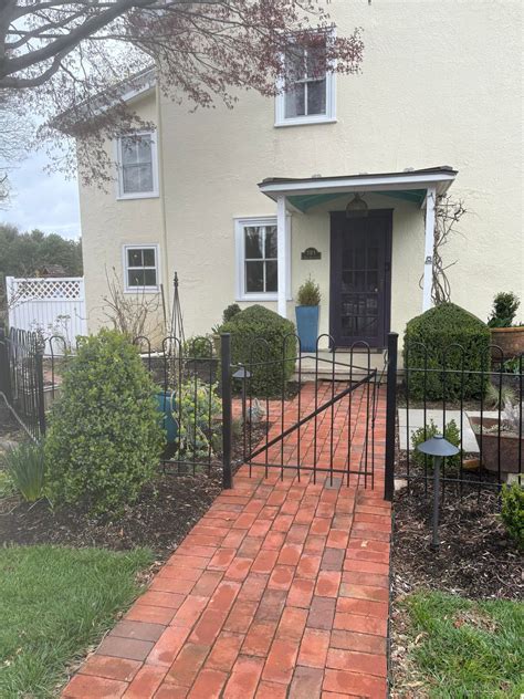 Buxus x ‘Green Mountain’... - The American Boxwood Society | Facebook