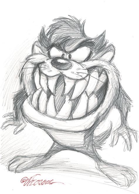 Tasmanian Devil Drawing at PaintingValley.com | Explore collection of ...