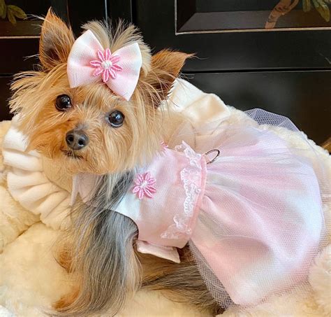Picnic Dog Dress - Pooch Gown, Puppy Outfit, Pet Flower Girl, Doggie