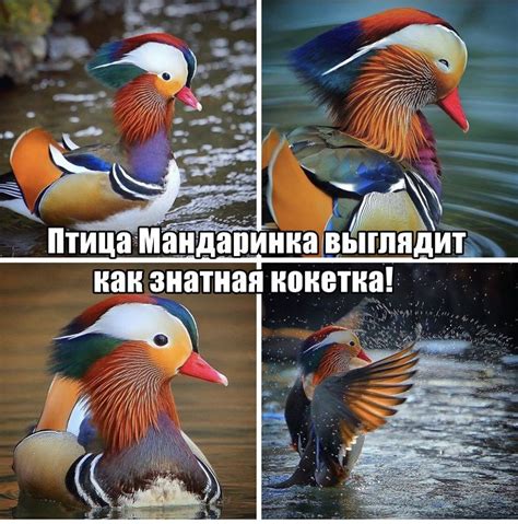 Интересные и прикольные картинки / Приколы