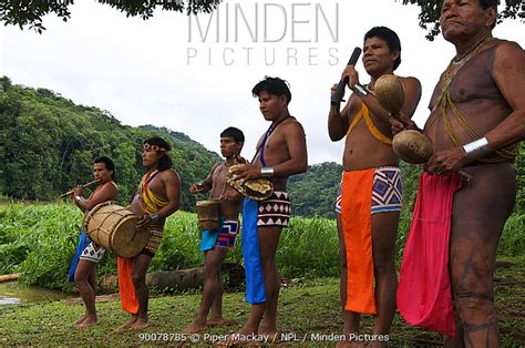 Minden Pictures stock photos - Embera Indian men dressed in traditional ...