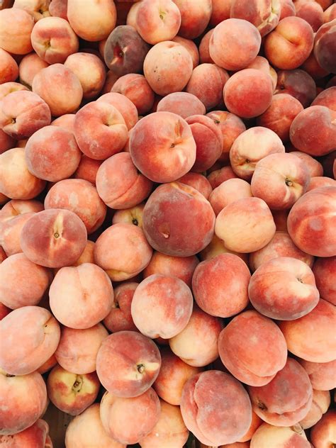 fruit peach colour picture wallpaperscom