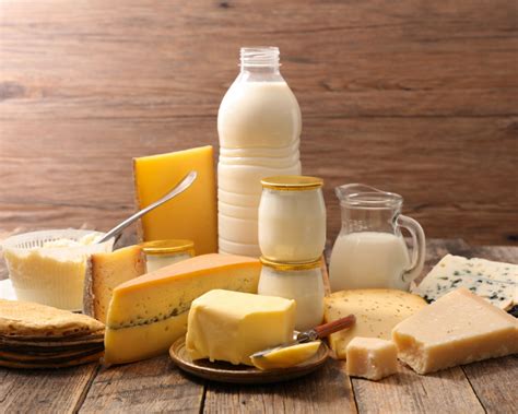 Alimentos Lácteo Produzido Depois Da Fermentação - Como funciona o processo de Fermentação? - Protos Biotec Jr.