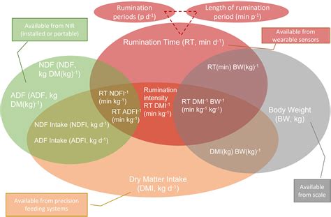 rumination behavior  charlie garon blog