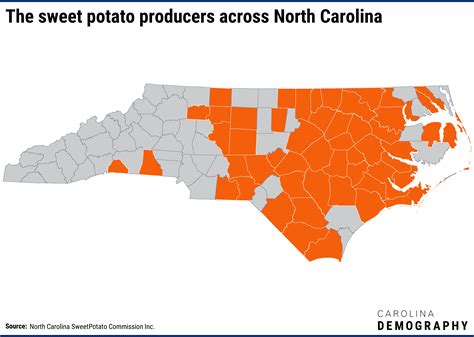 We’re #1: NC’s sweet potato production leads the nation | Carolina