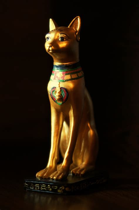 The Egyptian Cat - Viki Secrets