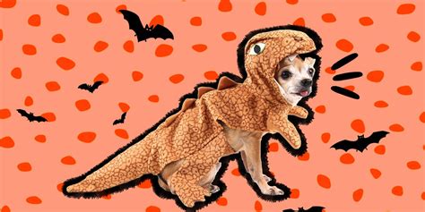 Dog Dinosaur Costume: The 7 Best Options For Halloween 2022 - DodoWell ...