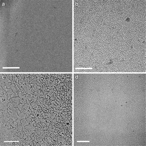 Cryo-TEM images of water-continuous systems; 7 wt% C12E5: a, bα = 5 %... | Download Scientific ...